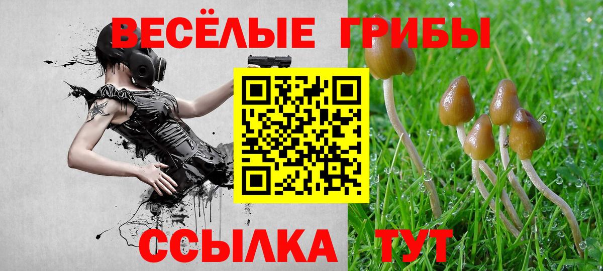 Ирбит  Псилоцибиновые грибы GOLDEN TEACHER  Вход с VPN  Галлюциногенные грибы Psilocybe 